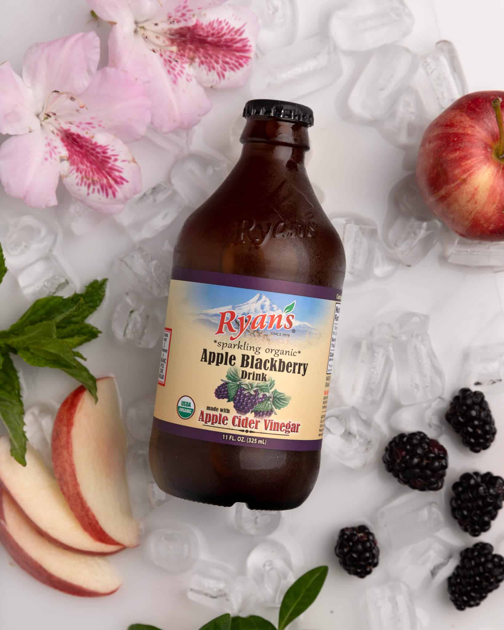 Fresh Fruit Juices - Ryan’s Blackberry Sparkling Vinegar Drink