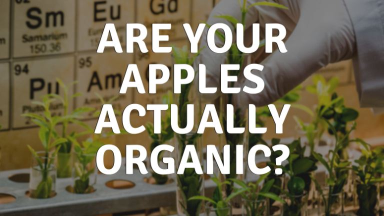 Are your apples actually organic? -Hand reaching into plant in test tube