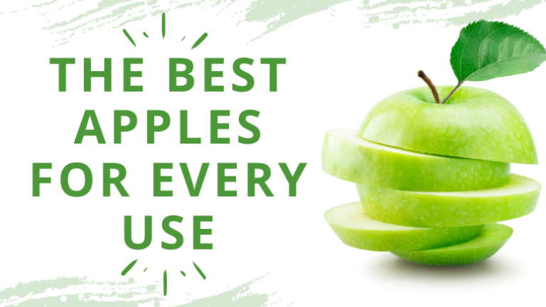 The best apples for every use cover photo