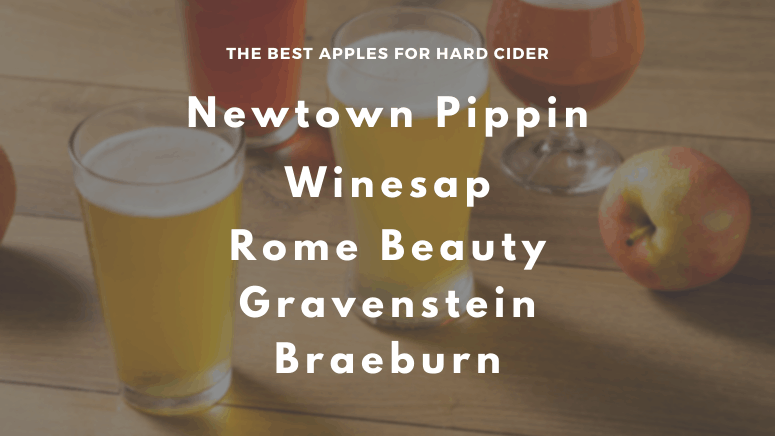 The best apples for hard cider