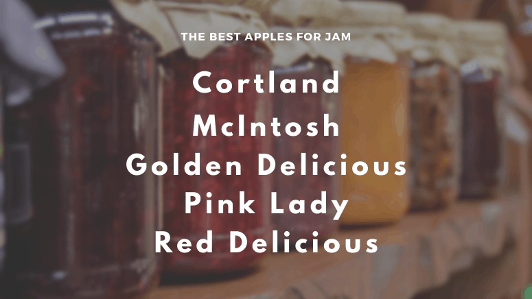 Delightful Guide to Pink Lady Apples: Crisp, and Sweet 🍎