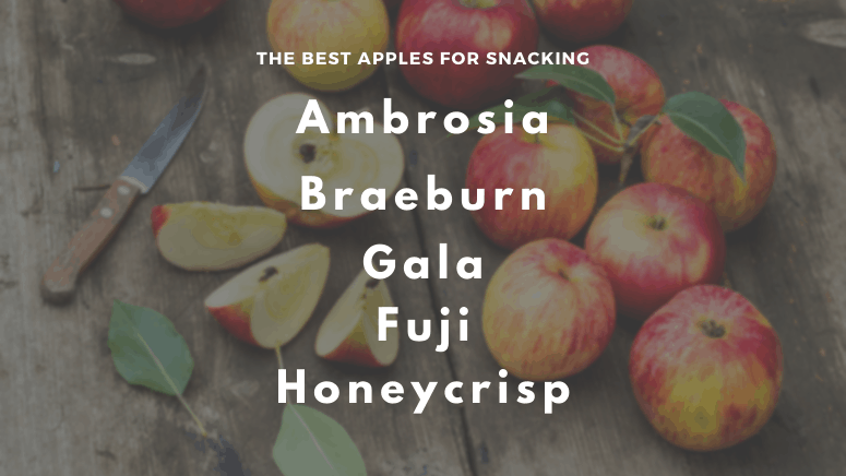 Fuji Apples vs. Gala Apples (+ Recipes!) - Urban Farmie